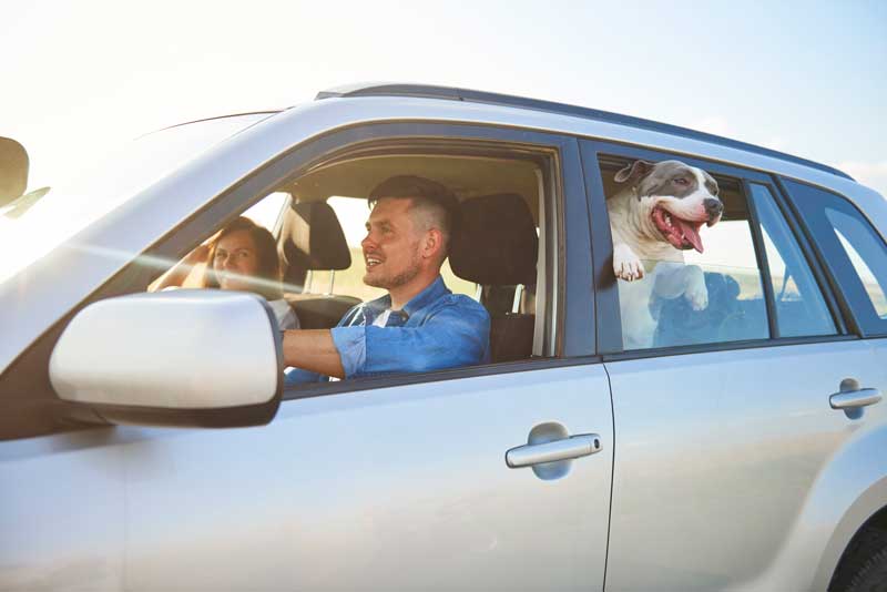 Par på biltur med hund som stikker hodet ut av vinduet
